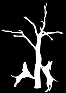 COON HUNTING DOGS TREEING WALL DECAL WINDOW DECALS