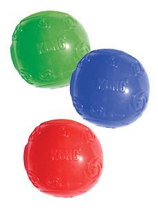 Squeezz Ball Rubber Squeaker Erratic Bounce Squeaky Ball Dog Fetch Toy