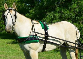 BLACK BIOTHANE with Silver Spots & GREEN PAD Driving Horse Harness