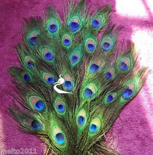Natural Great Decorations,Pe acock Tail feathers,about 26 30cm