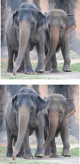 BEAUTIFUL BABY ELEPHANTS DESIGN CERAMIC TILE TEAPOT PLANT STAND