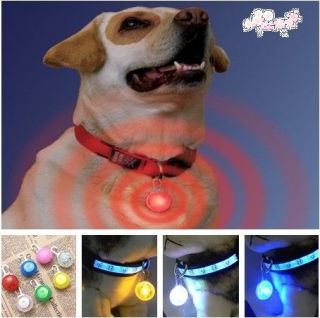 Pc LED Dog Night Safety Circular Pendant 7 Colors