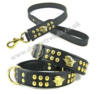 EXCLUSIVE ENGLISH BULL TERRIER DOG COLLARS AND LEAD PADDED LEATHER