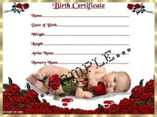 RED ROSES BABY BIRTH CERTIFICATE/CE RTIFICATES 4 REBORN FAKE BABY