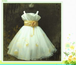 GTC G818 Gold Yellow Princess Party Prom Flower Girls Dress SIZE 2 3 4