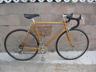  French Hand Made Bicycle 48 cm 24 Wheels 14 Spd Grip Shift Vintage