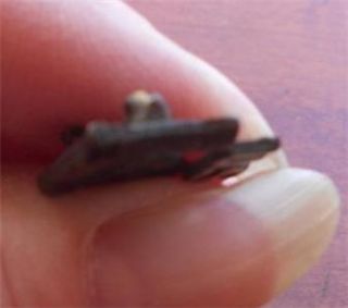 Antique RARE Unique US Pin Armory