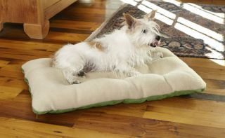Futon Dog Bed Cover/Liner / Xlarge Dogs 100+ Lbs., Grass,