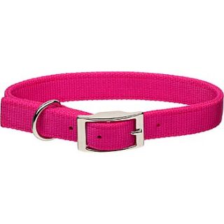 Metal Buckle Double Ply Nylon Personalized Dog Collar in Pink Flamingo, 1 Width