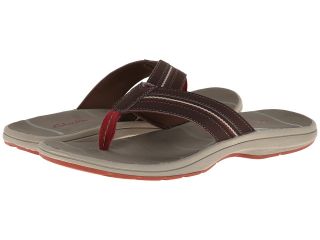 clarks whelkie beach