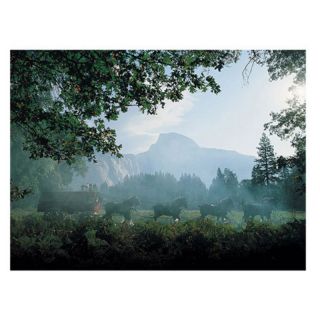 Trademark Global Inc Clydesdales in the Misty Mountains Canvas Art Multicolor  