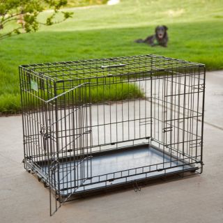 Midwest iCrate Folding Double Door Dog Crate Multicolor   1542DD, Large 42L x