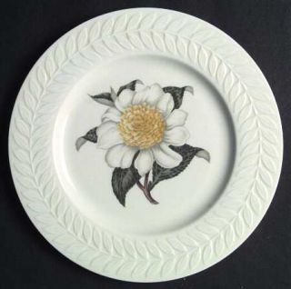 Haviland Camellia Dinner Plate, Fine China Dinnerware   New York, Greylock Shape