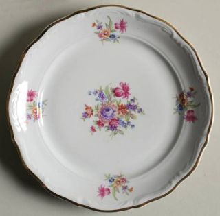 Europa Rose  Garden Salad Plate, Fine China Dinnerware   Scalloped, Floral   Rim