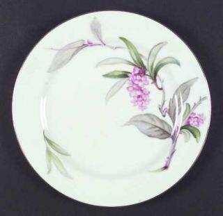 Aladdin Larkspur Dinner Plate, Fine China Dinnerware   Pink Flowers,Gray/Green L