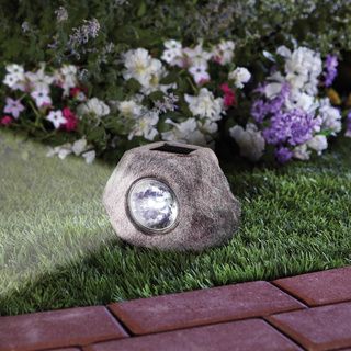 Order Home Collection Solar Powered Spotlight