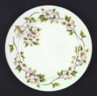 Noritake N1 Salad Plate, Fine China Dinnerware   White Dogwood,Green Leaves, Gol