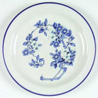 Celebrity Jennifer Dinner Plate, Fine China Dinnerware   Blue & White Flowers, B