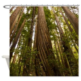  Redwood Forest Shower Curtain  Use code FREECART at Checkout