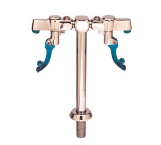 T&S Brass Double Pedestal Push Back Glass Filler w/ 1/2 in IPS Male Inlet