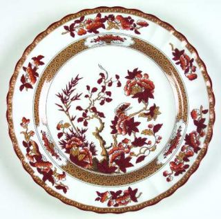 Spode Indian Tree Orange/Rust (Bone, 2004) Dinner Plate, Fine China Dinnerware  