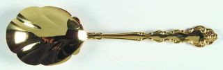 Oneida Gold Beethoven Ohs (Gold Electroplate) Solid Shell Casserole Spoon   Gold