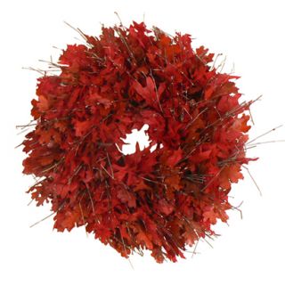 Vibrant Oak Dried Floral   18