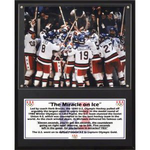 USA Hockey Forever Collectibles NHL 12x15 Team Plaque