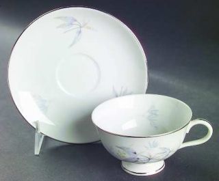 Furstenberg Pastel Footed Cup & Saucer Set, Fine China Dinnerware   Platinum Tri