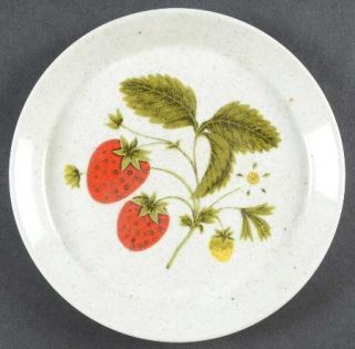 Mikasa Scrumptious Salad Plate, Fine China Dinnerware   Casual Sophistication, S