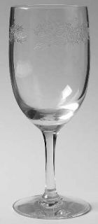 Fostoria Fleurette Water Goblet   Stem #6102, Etch #26