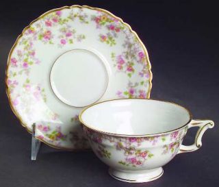 Haviland Trellis (Newer) Footed Cup & Saucer Set, Fine China Dinnerware   France
