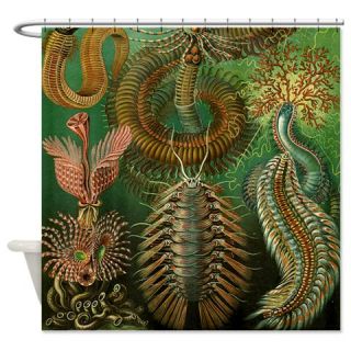  Ernst Haeckel Chaetopoda Shower Curtain  Use code FREECART at Checkout