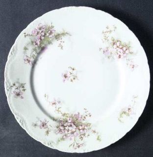 Haviland Schleiger 146m Luncheon Plate, Fine China Dinnerware   Theo,Blank 117,P