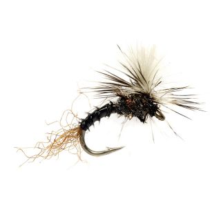 Birchells Hatching Midge, Black, 18