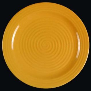 Home Trends Hts16 Dinner Plate, Fine China Dinnerware   All Yellow, Embossed Rin