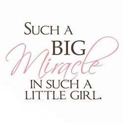Vinyl Attraction Such A Big Miracle Nursery Decal