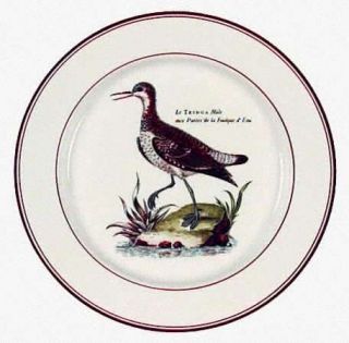 Villeroy & Boch Paradiso (Brown Trim & Band) Salad Plate, Fine China Dinnerware