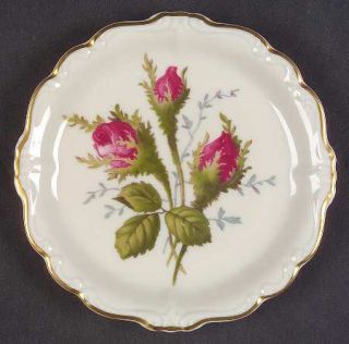 Rosenthal   Continental Moss Rose (Pompadour, Ivory Body) Coaster, Fine China Di