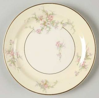 Taylor, Smith & T (TS&T) Moss Rose Bread & Butter Plate, Fine China Dinnerware  