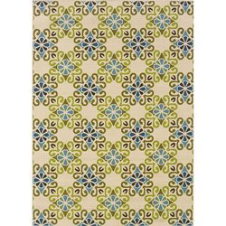 Ivory/blue Outdoor Area Rug (67 X 96)