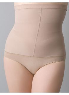 Lane Bryant Plus Size Spanx Higher Power Brief     Womens Size D, Nude