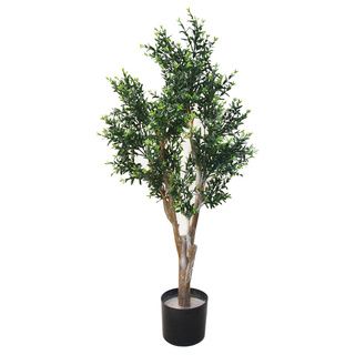 Romano 41 inch Indoor/ Outdoor Ixora Chinese Tree