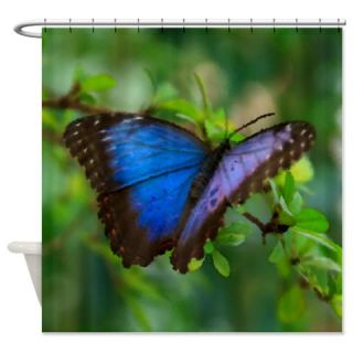 Blue Butterfly Shower Curtain  Use code FREECART at Checkout