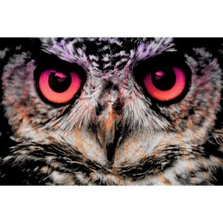 Salty & Sweet Night Owl Canvas Art SS034 Size 16 H x 24 W x 2 D