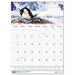Earthscapes Wildlife Scenes Monthly Wall Calendar