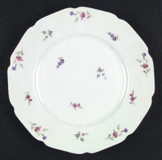 Heinrich   H&C Victoria (Multicolor Flowers) Dinner Plate, Fine China Dinnerware