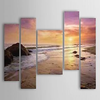 Hand Painted Oil Painting Landscape Sunset Sea Beach with Stretched Frame Set of 5