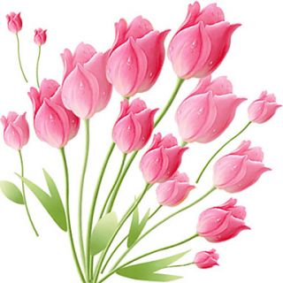 Floral Pink Tulip Decorative Wall Stickers