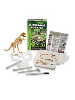 Thames and Kosmos Dinosaur Fossil Kit